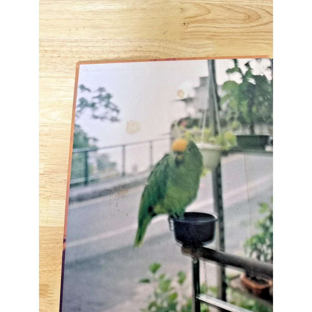 All of a Sudden by Jack Pierson Hardcover Vintage Photography